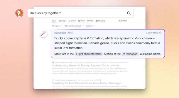 پاسخ فوری DuckDuckGo نحوه ارائه