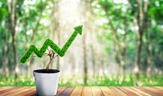 بازاریابی سبز ماموریت شرکت باید ورای خلق ارزش برای مشتریان هدف و کسب سود باشد. بایستی به مضامین بازاریابی اجتماعی نظیر حفظ محیط زیست و بهبود رفاه جامعه نیز توجه داشت